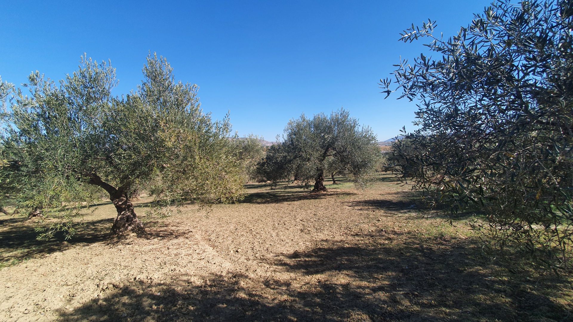 Plot à vendre à Alhaurín 3