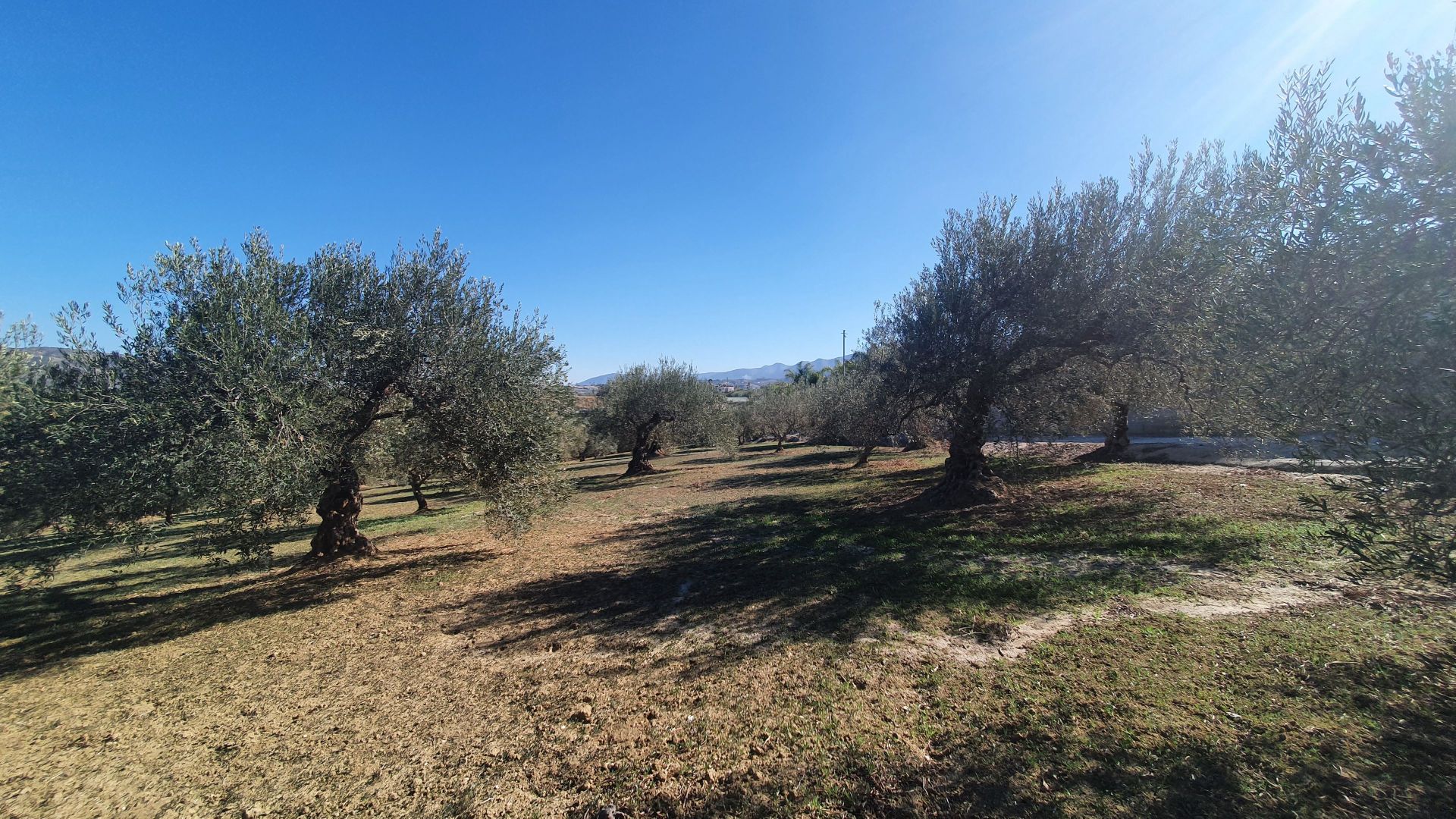 Plot à vendre à Alhaurín 4