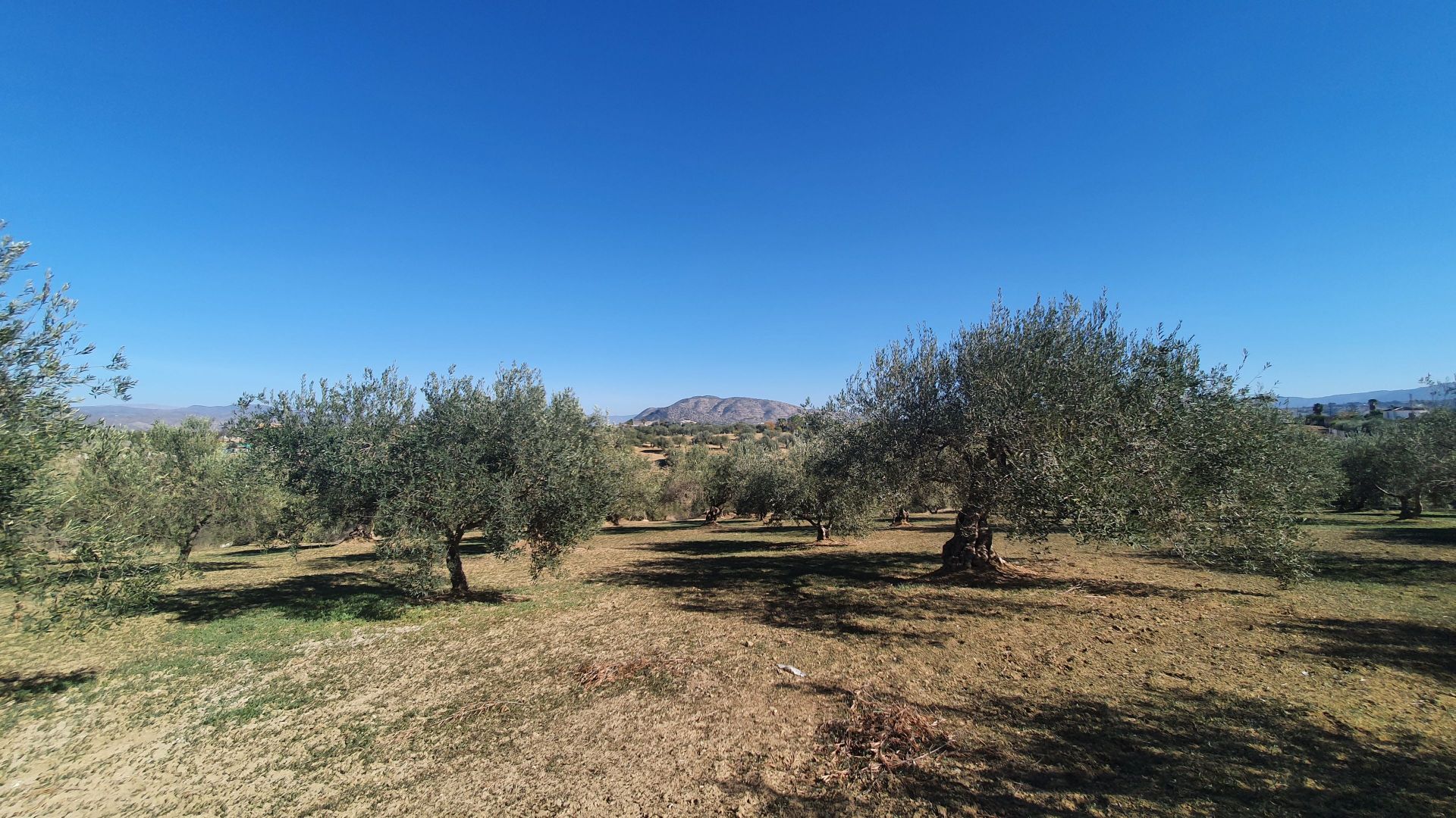 Plot à vendre à Alhaurín 5