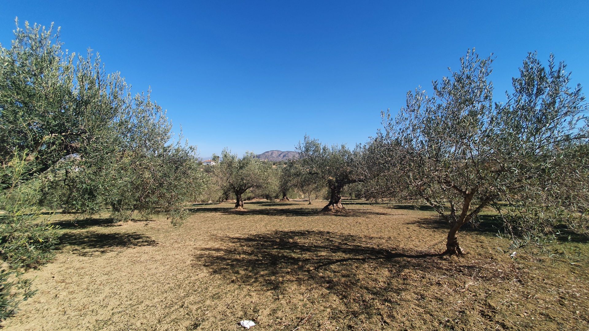 Plot à vendre à Alhaurín 6