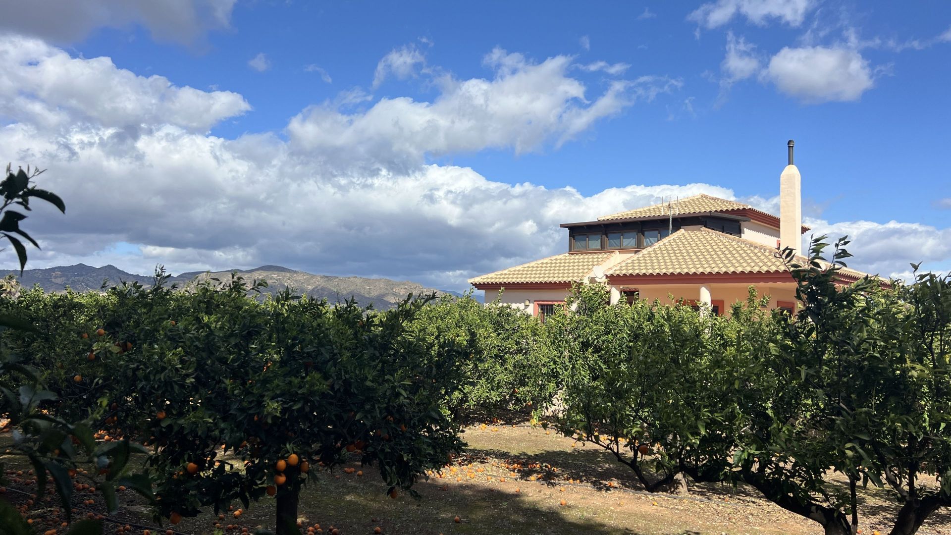 Maison de campagne à vendre à Málaga 27