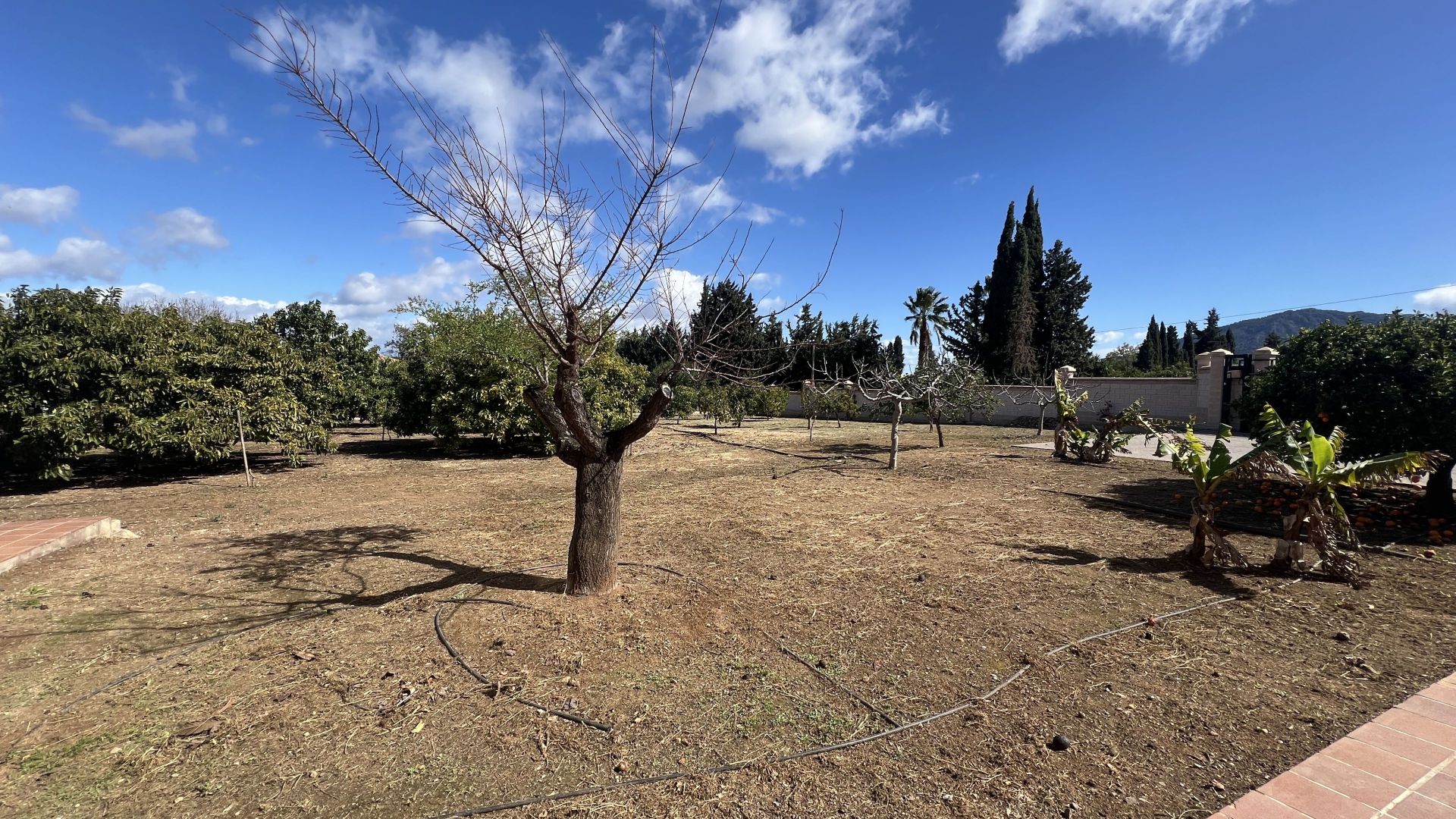 Maison de campagne à vendre à Málaga 30