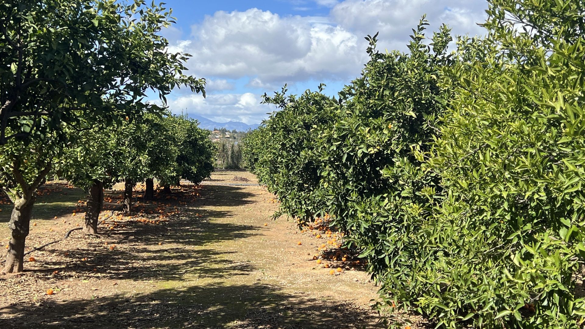 Countryhome for sale in Málaga 34