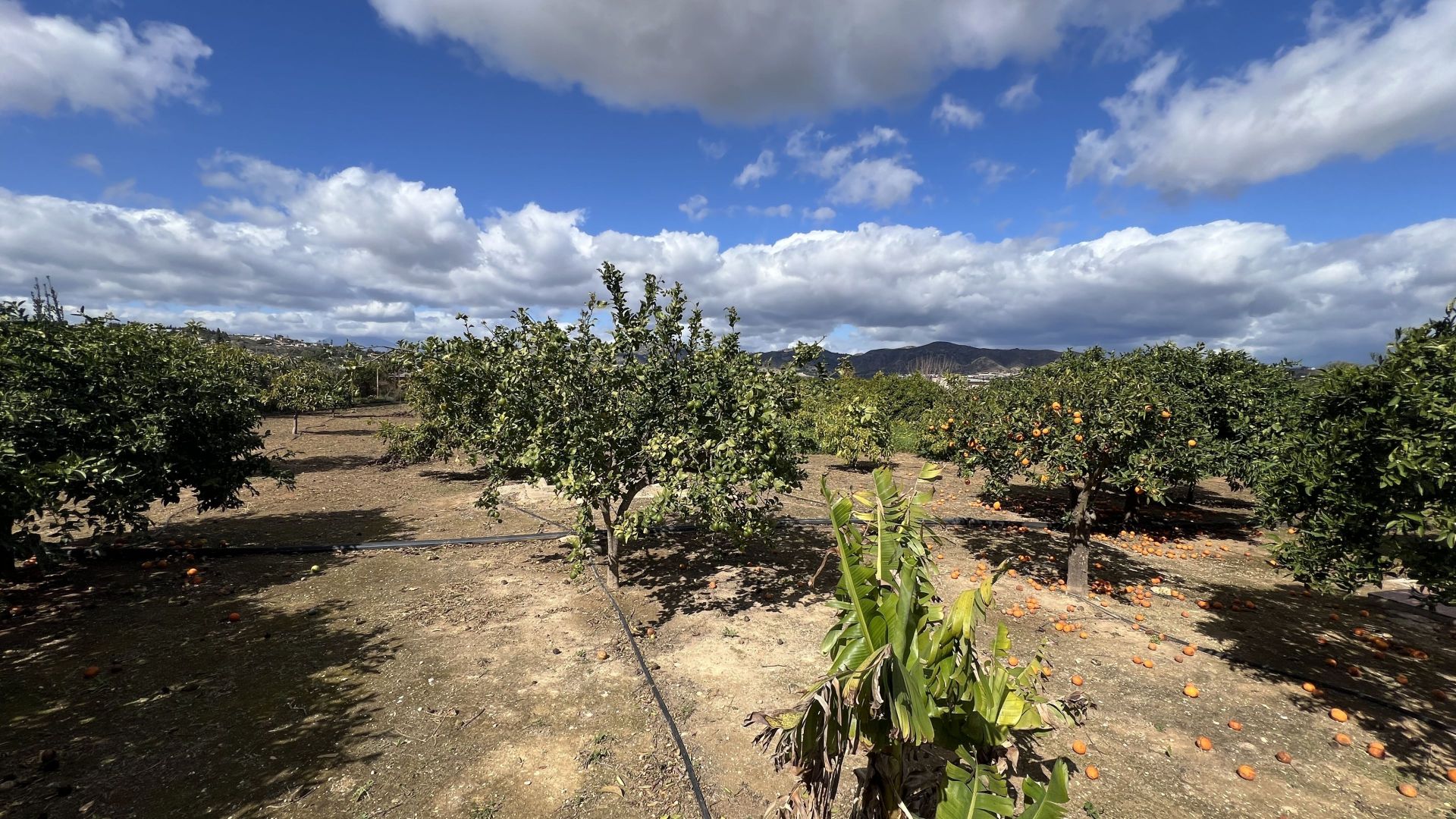 Maison de campagne à vendre à Málaga 35