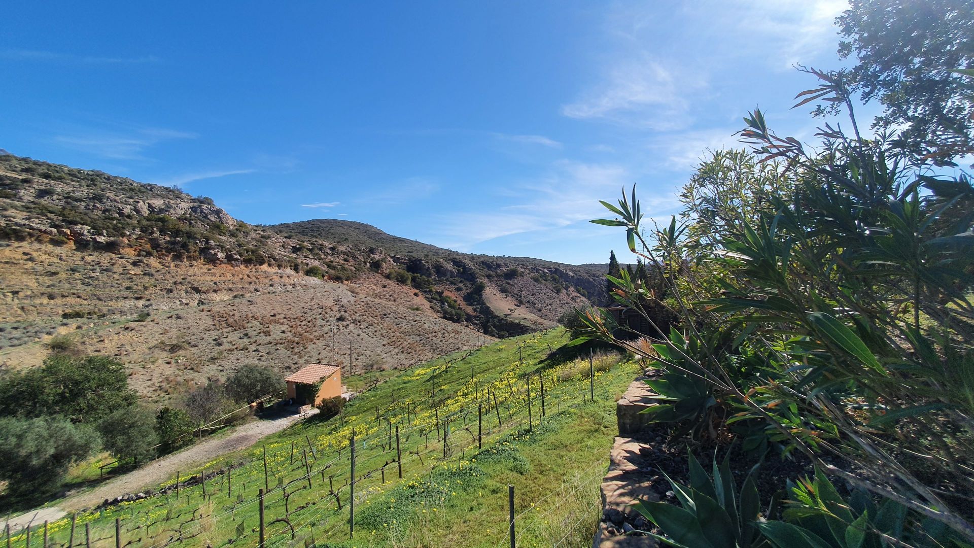 Countryhome te koop in Málaga 3