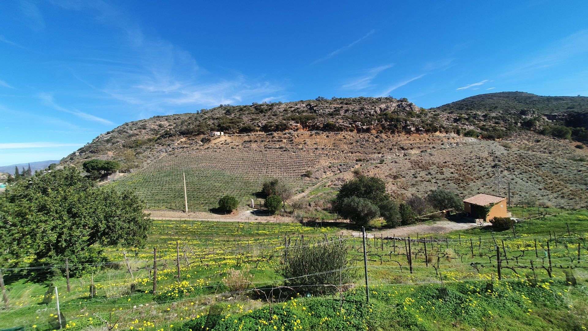 Maison de campagne à vendre à Málaga 32