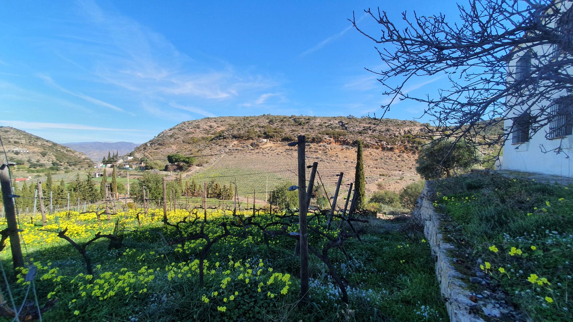 Maison de campagne à vendre à Málaga 6