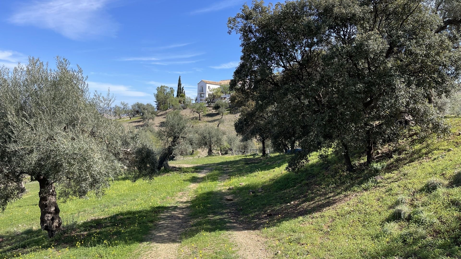 Maison de campagne à vendre à Málaga 34