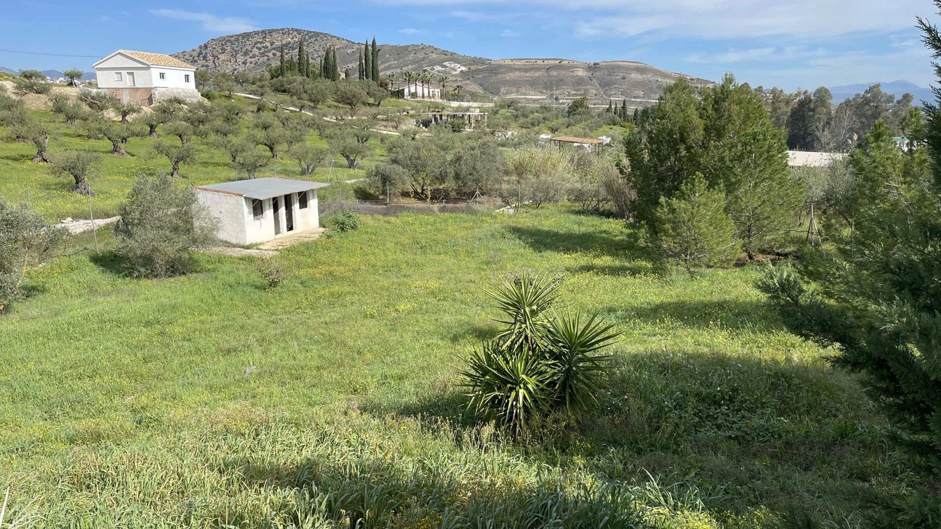 Countryhome for sale in Alhaurín 22