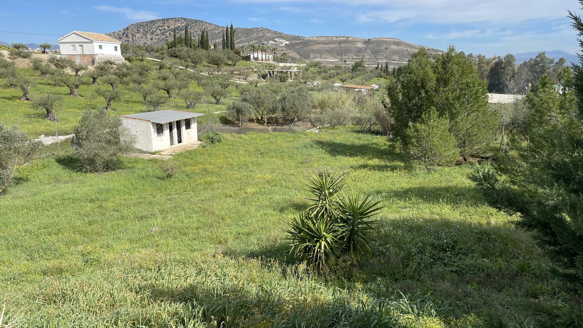 Maison de campagne à vendre à Alhaurín 22