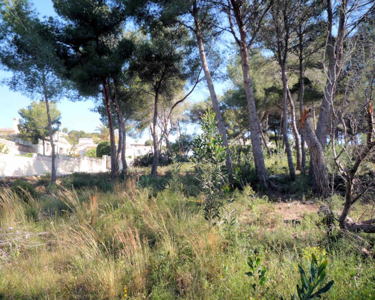 Plot for sale in Teulada and Moraira 10