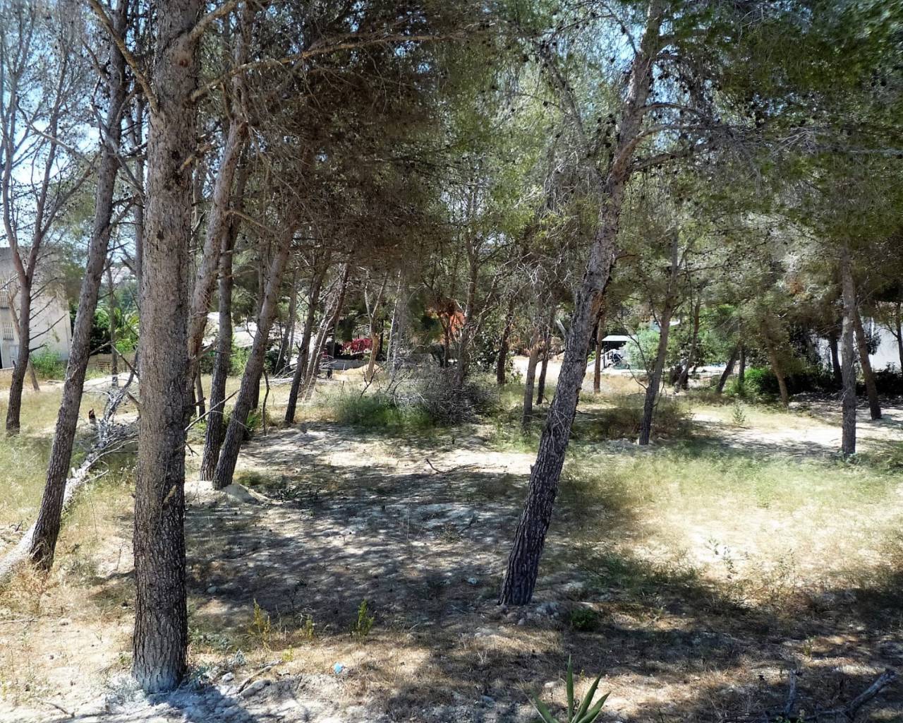 Plot for sale in Teulada and Moraira 14