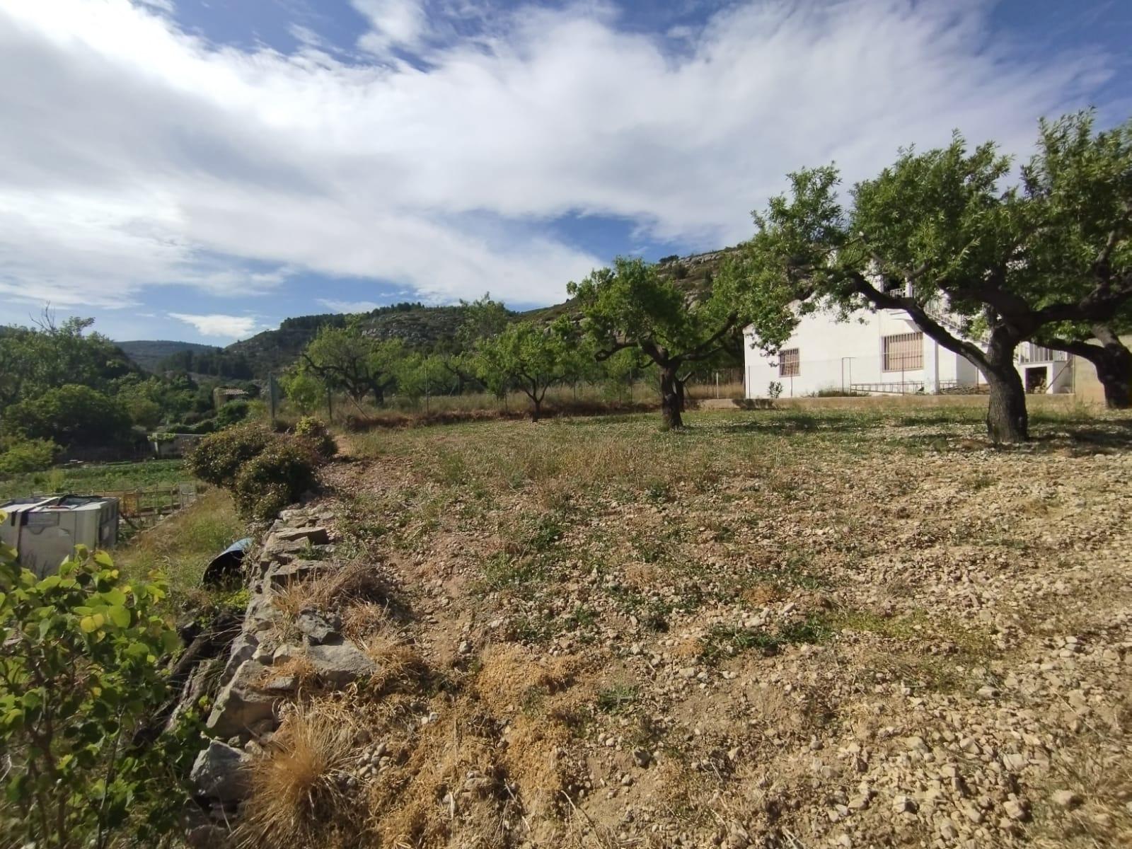 Plot for sale in Guardamar and surroundings 4