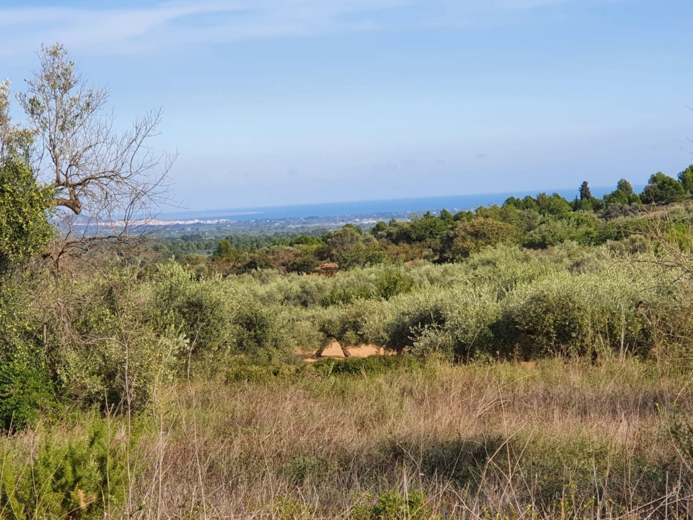 Maison de campagne à vendre à Vinaroz 2