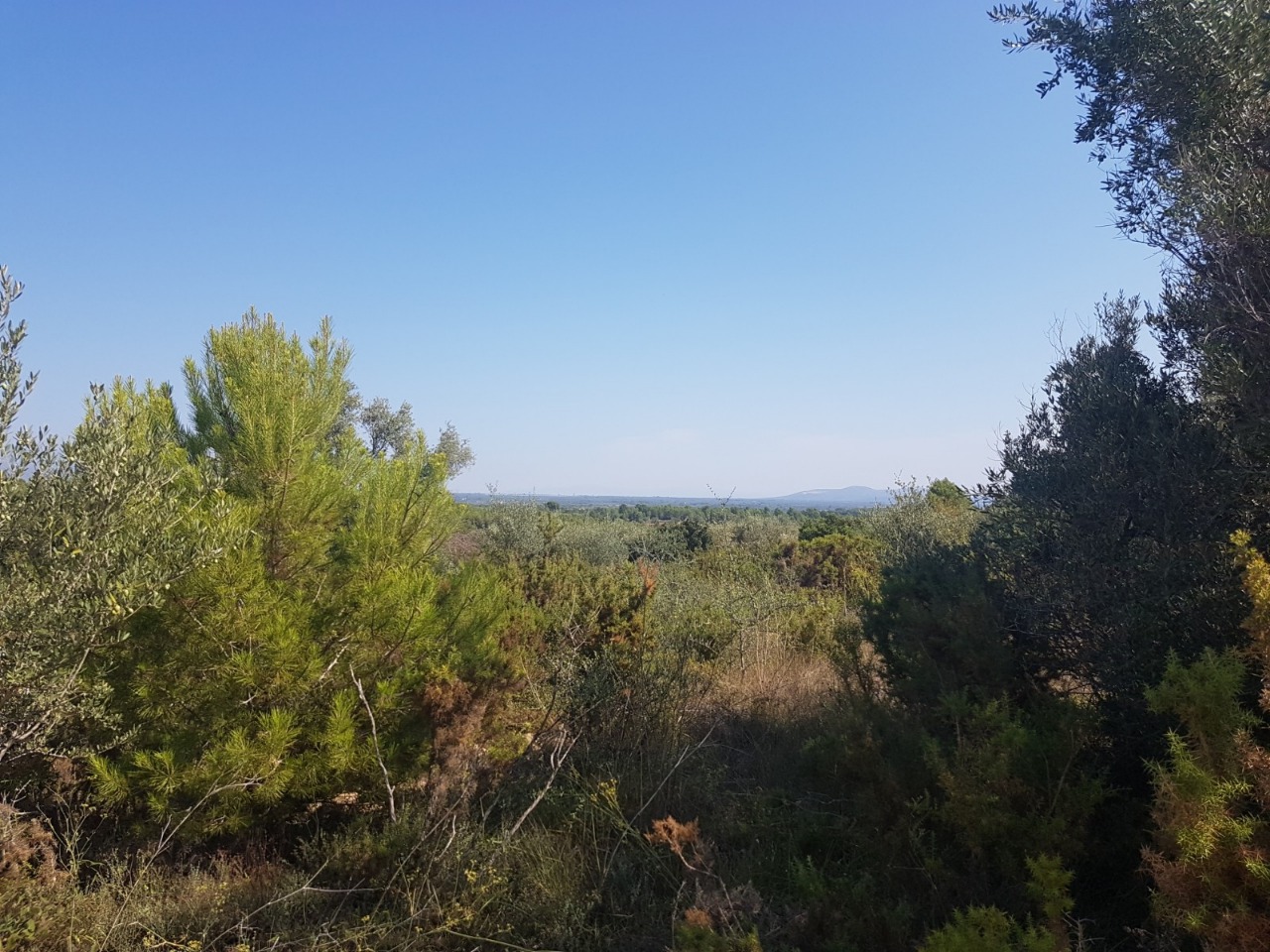 Maison de campagne à vendre à Vinaroz 4