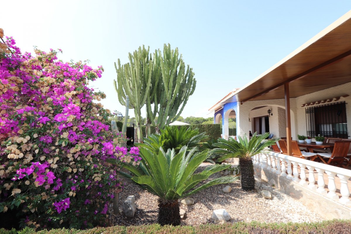 Villa à vendre à Alicante 2