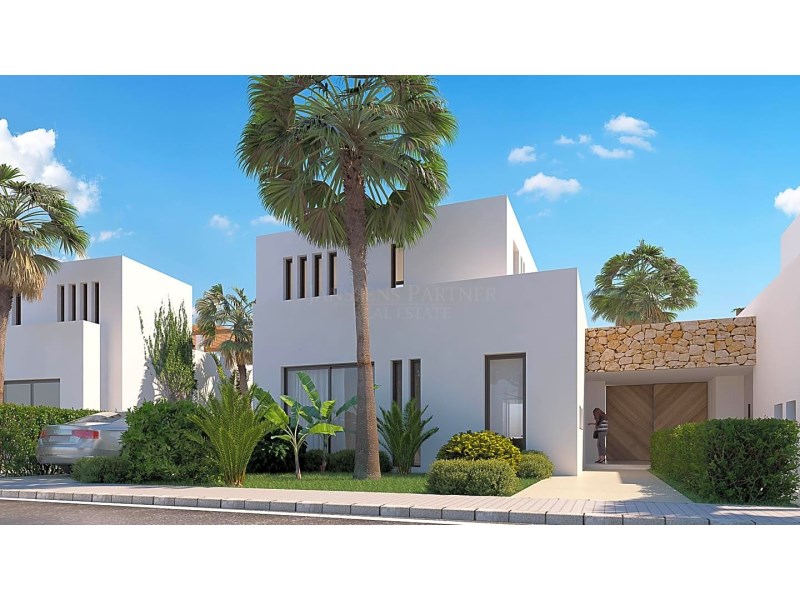 Villa à vendre à Alicante 2