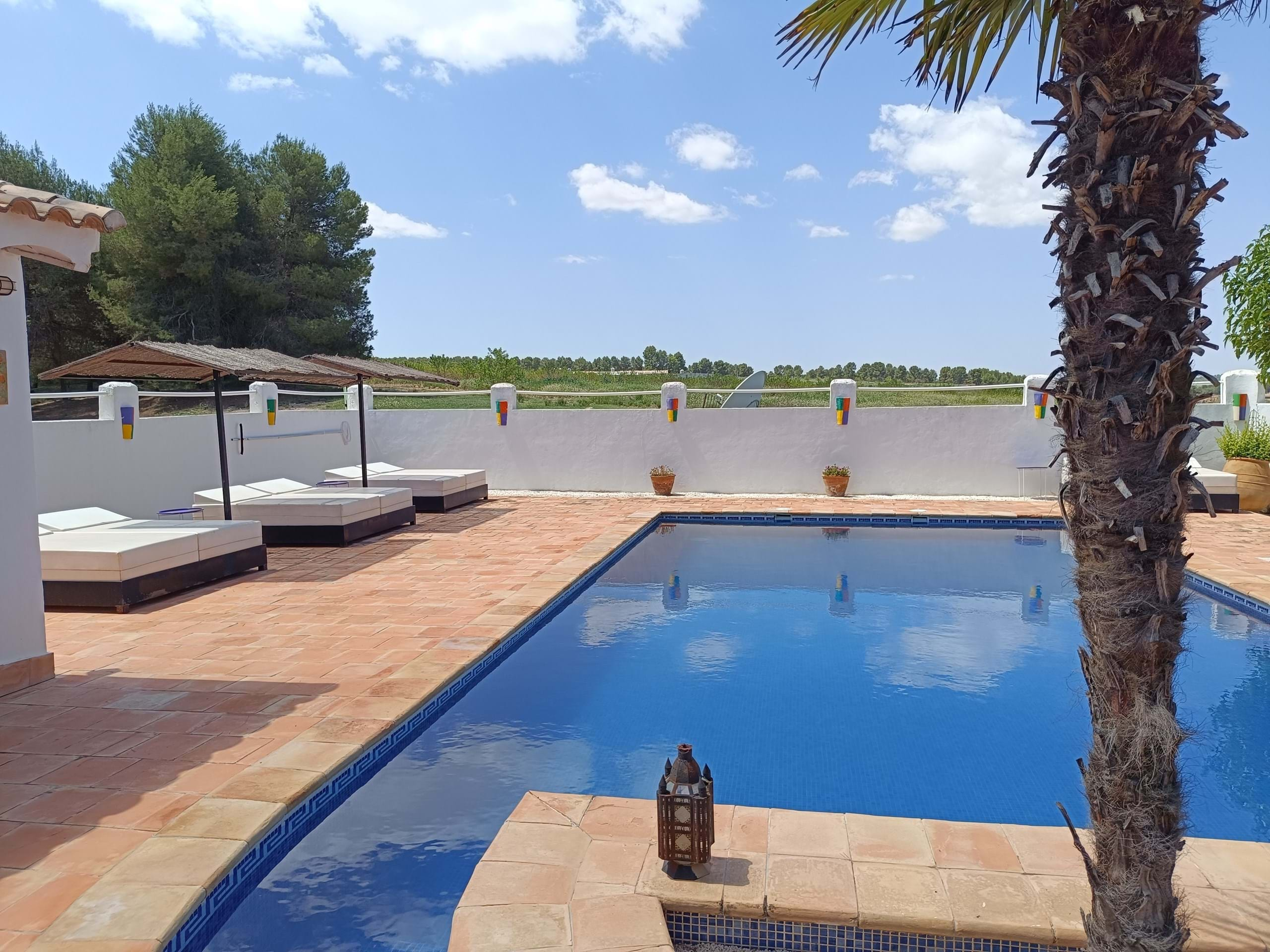 Casas de Campo en venta en Guardamar and surroundings 16