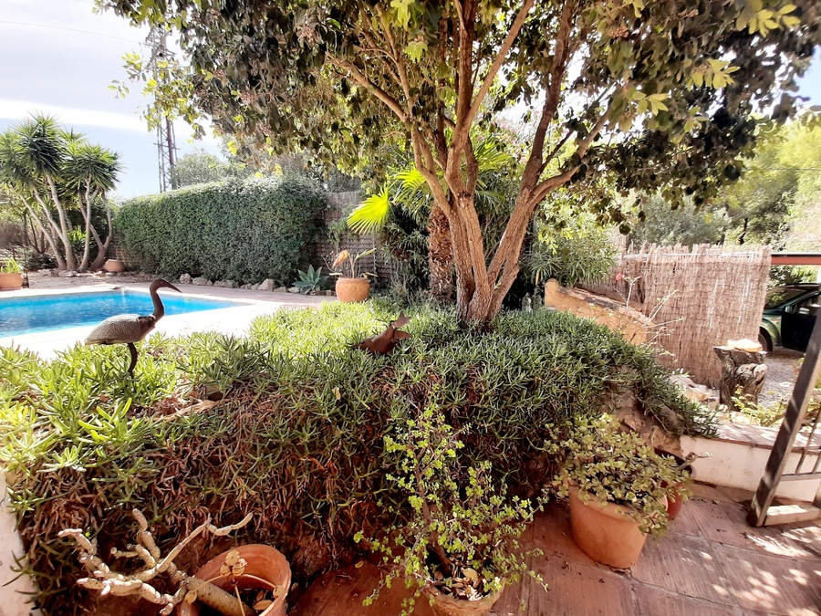 Countryhome for sale in Alicante 29