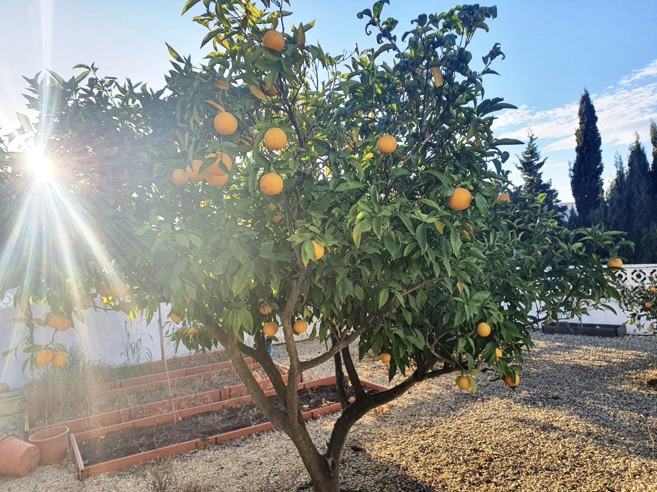 Chalé en venta en Alicante 33