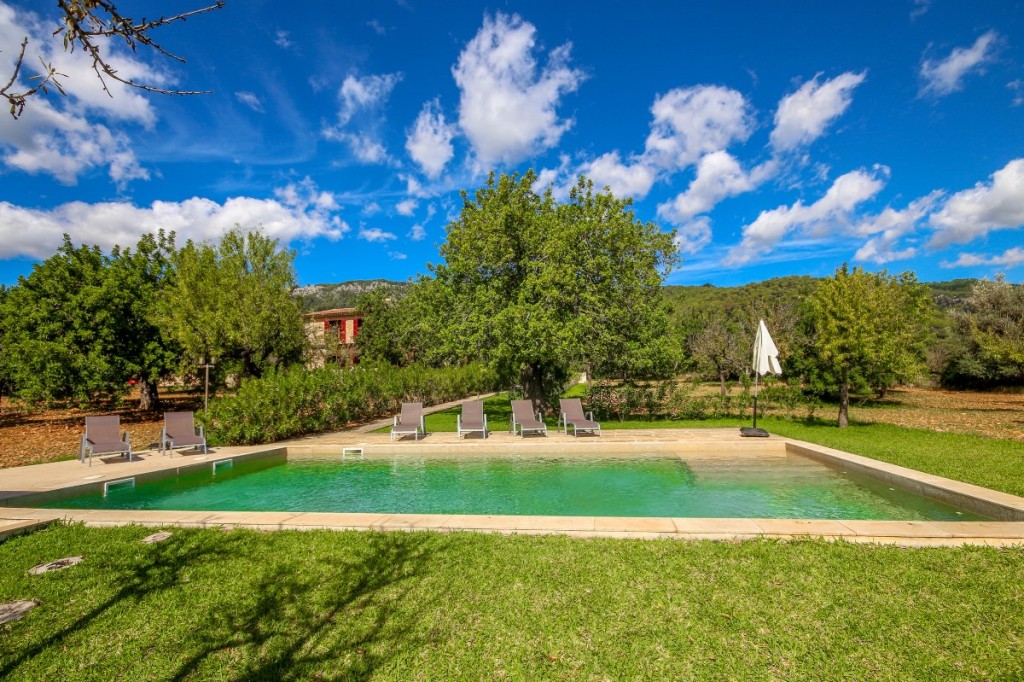 Countryhome for sale in Guardamar and surroundings 3