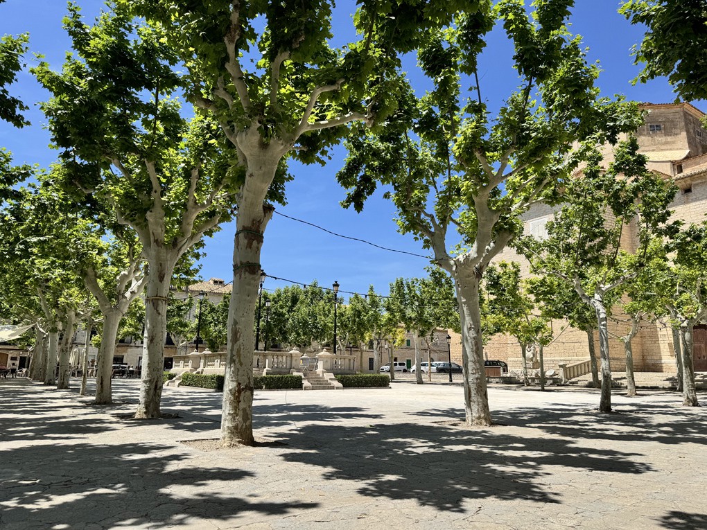 Maison de ville à vendre à Mallorca East 15