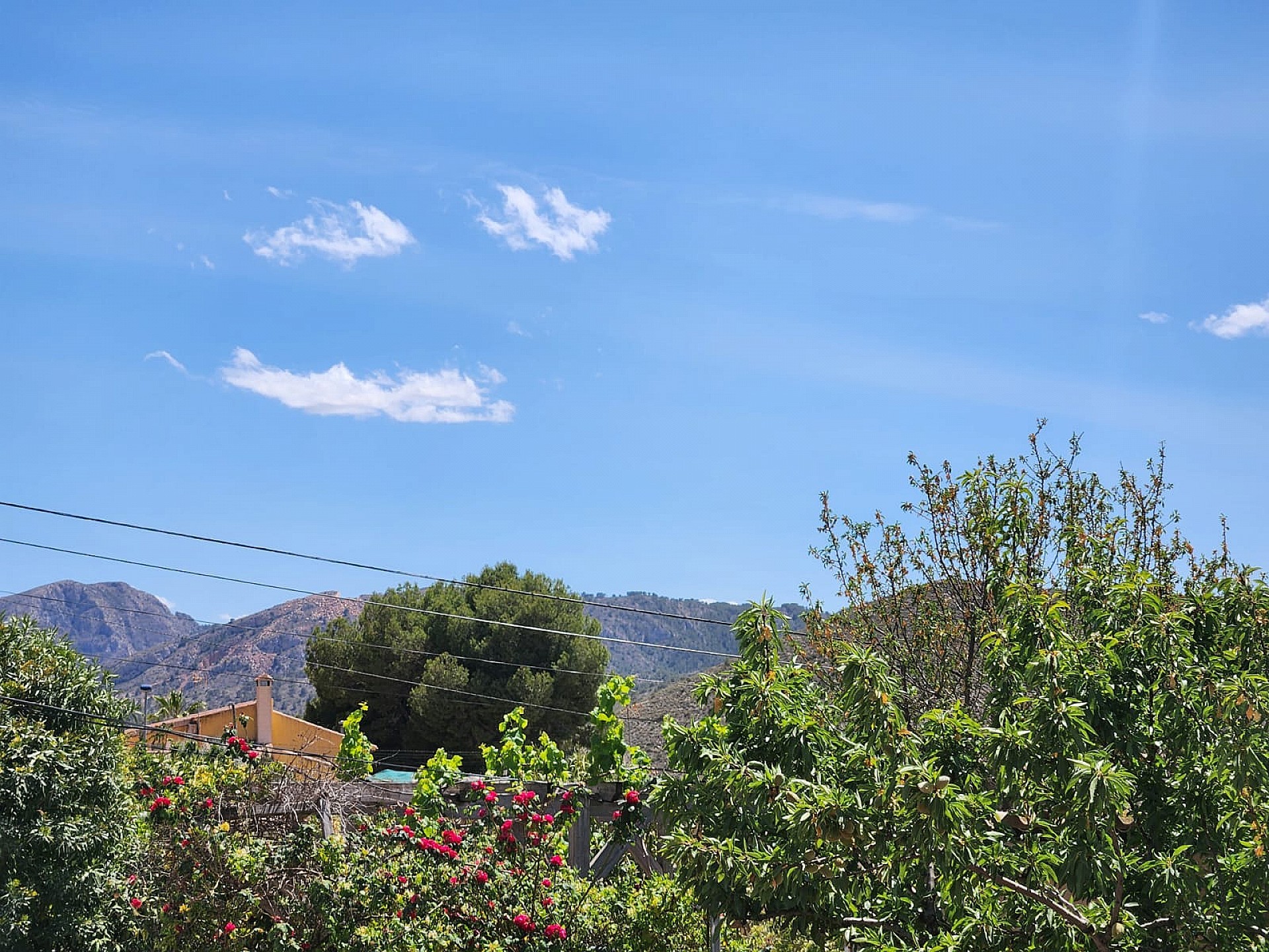 Villa à vendre à Alicante 6