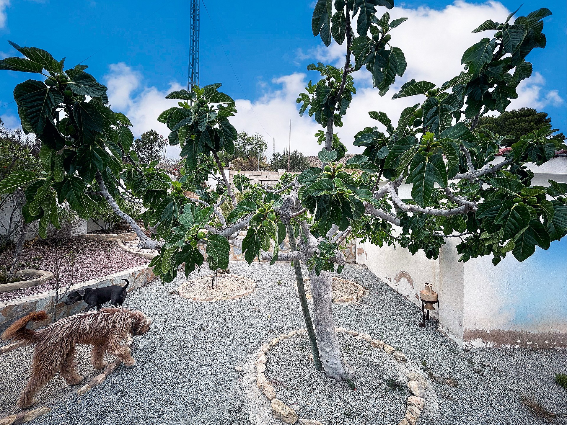 Villa à vendre à Alicante 62