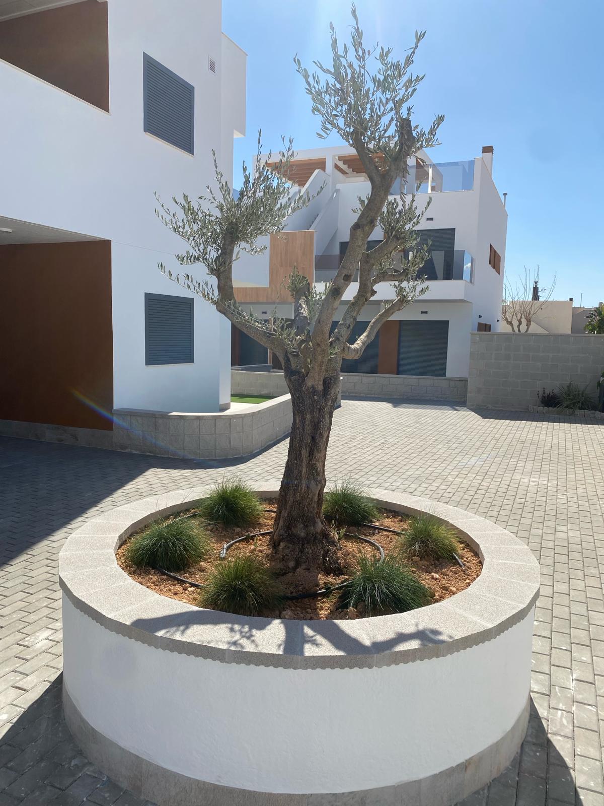 Apartamento en venta en San Pedro del Pinatar and San Javier 13