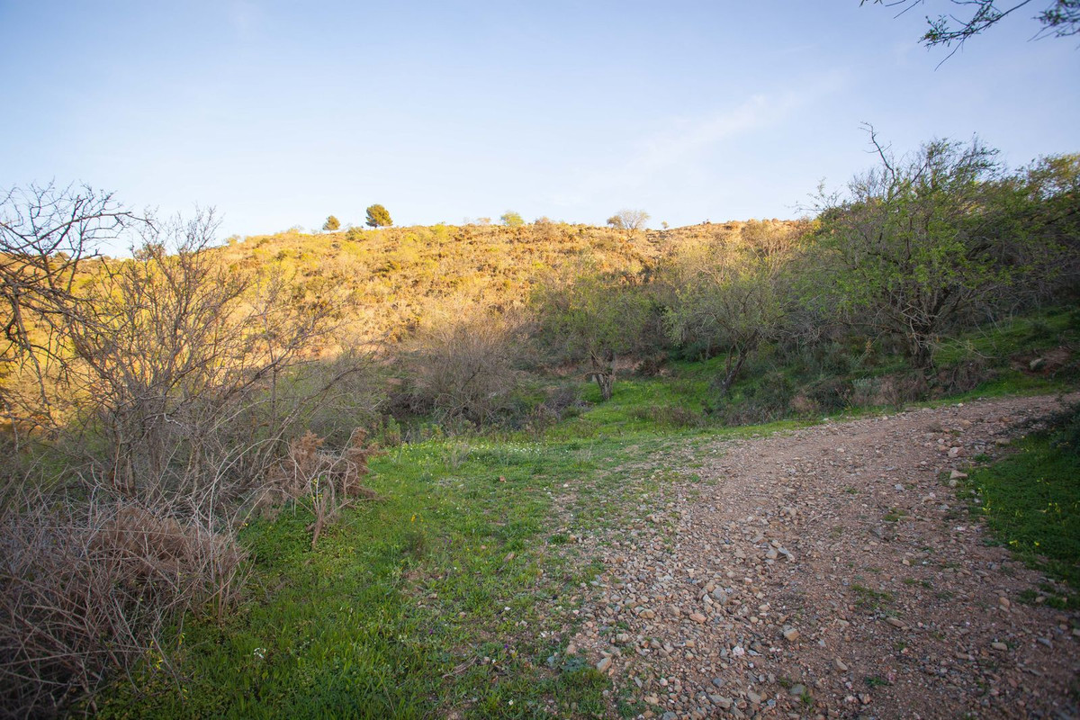 Plot à vendre à Málaga 2