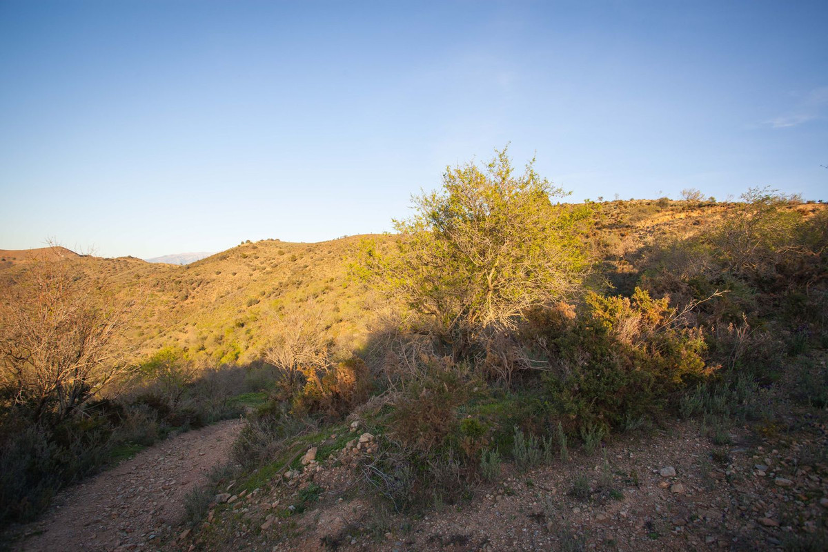 Plot à vendre à Málaga 4