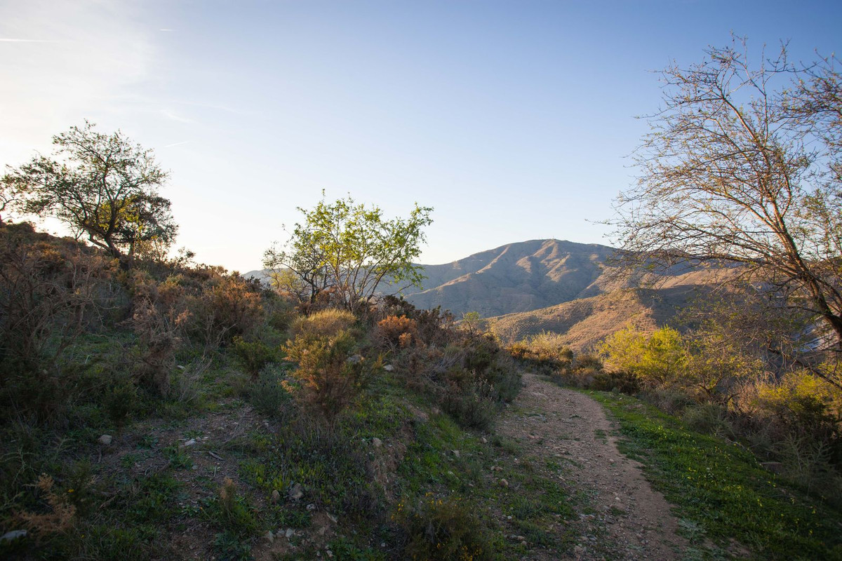 Plot à vendre à Málaga 6