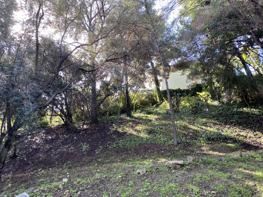 Plot te koop in Mallorca Southwest 2