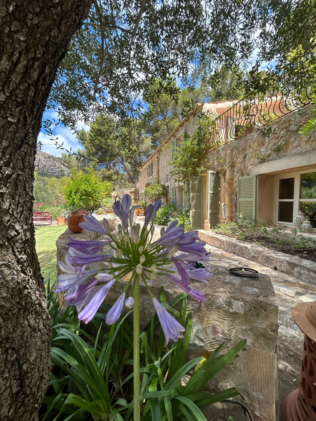 Countryhome for sale in Mallorca Southwest 3