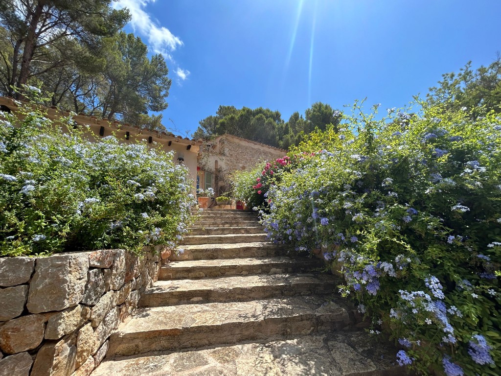 Countryhome for sale in Mallorca Southwest 5