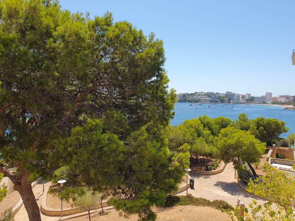 Apartamento en venta en Mallorca Southwest 2