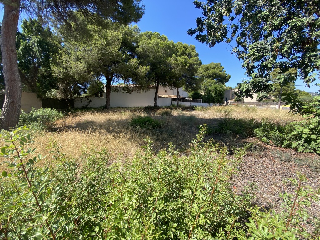 Plot for sale in Mallorca Southwest 1