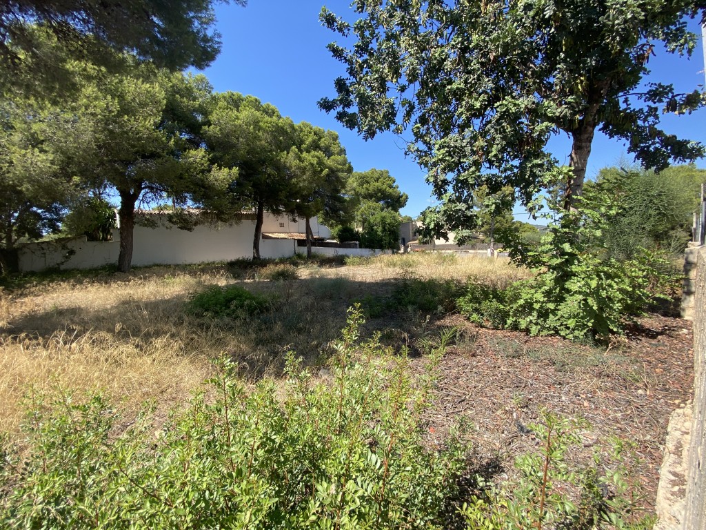 Plot for sale in Mallorca Southwest 10