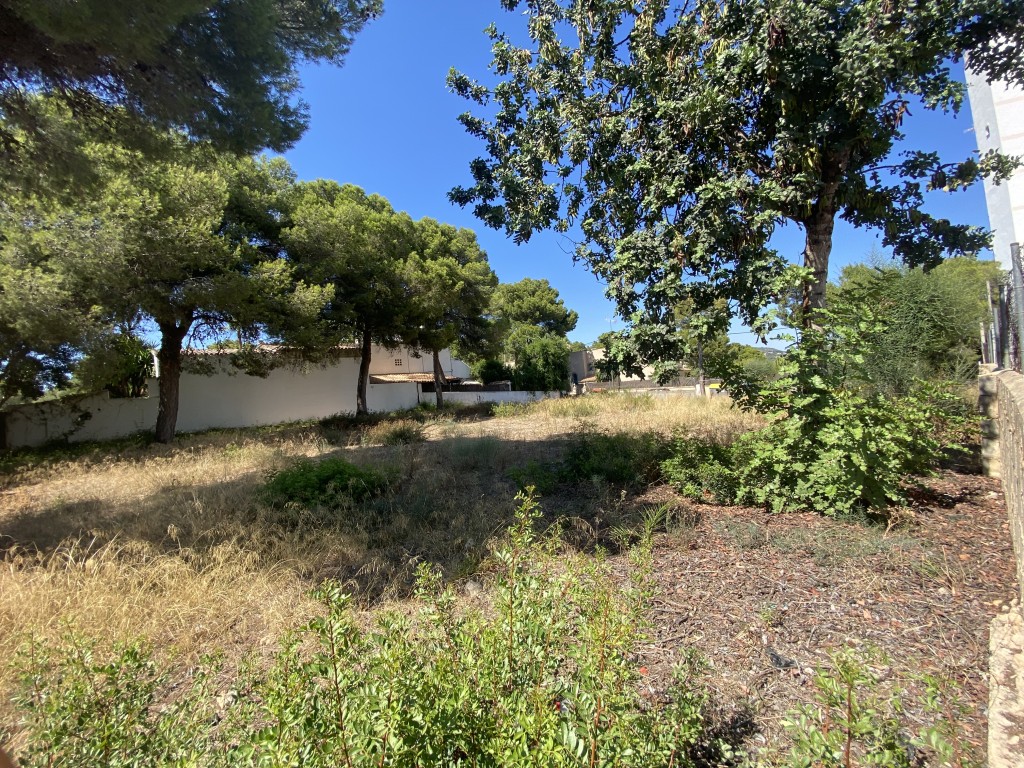 Plot for sale in Mallorca Southwest 11