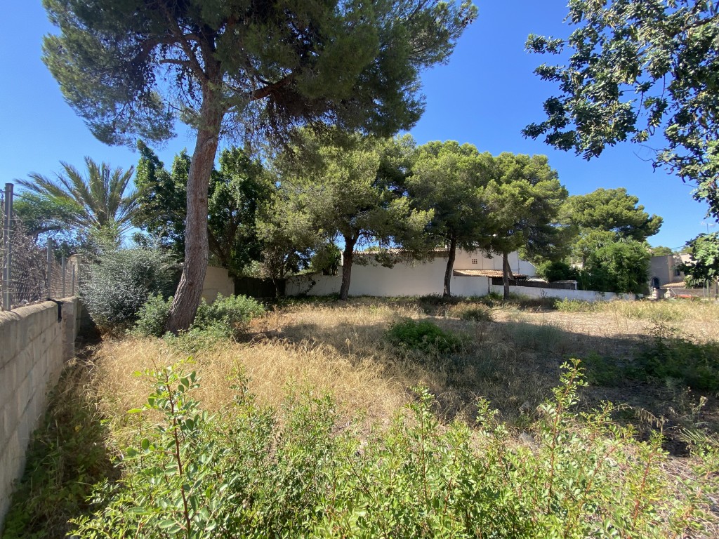 Plot for sale in Mallorca Southwest 4