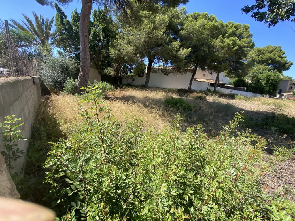 Plot for sale in Mallorca Southwest 5