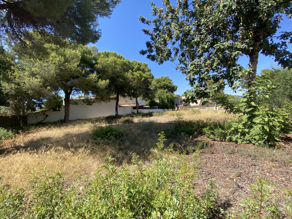 Plot for sale in Mallorca Southwest 7