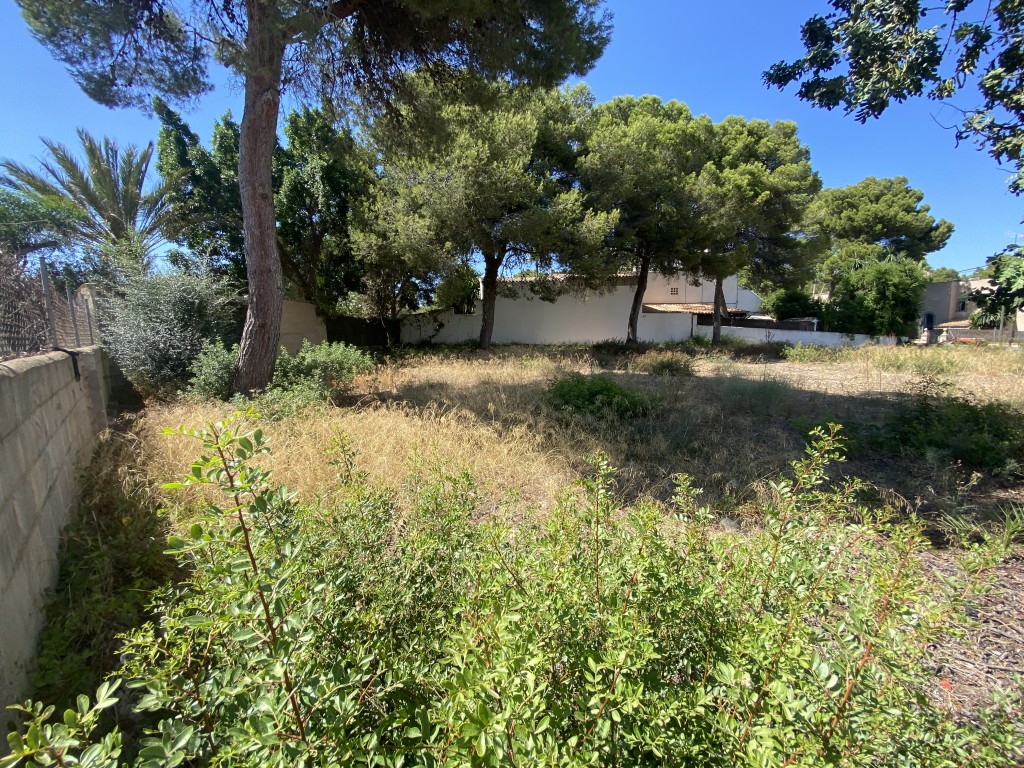 Plot for sale in Mallorca Southwest 9