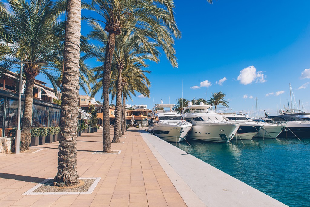 Квартира для продажи в Mallorca Southwest 12