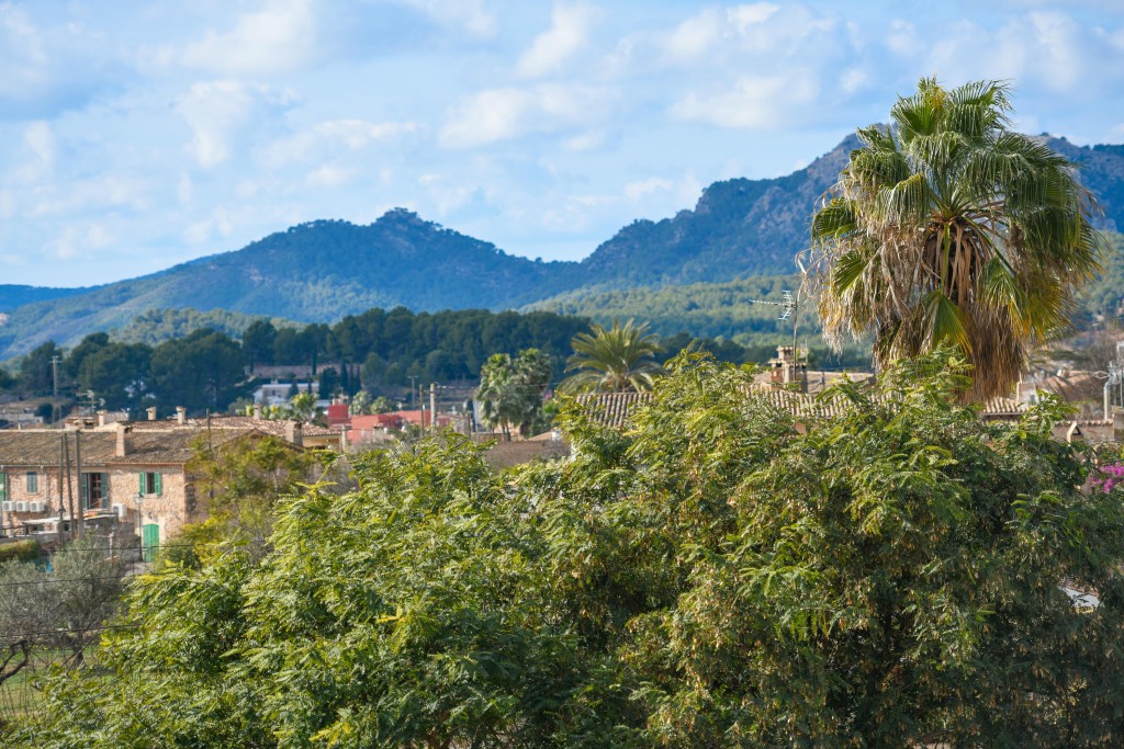 Reihenhaus zum Verkauf in Mallorca Southwest 20