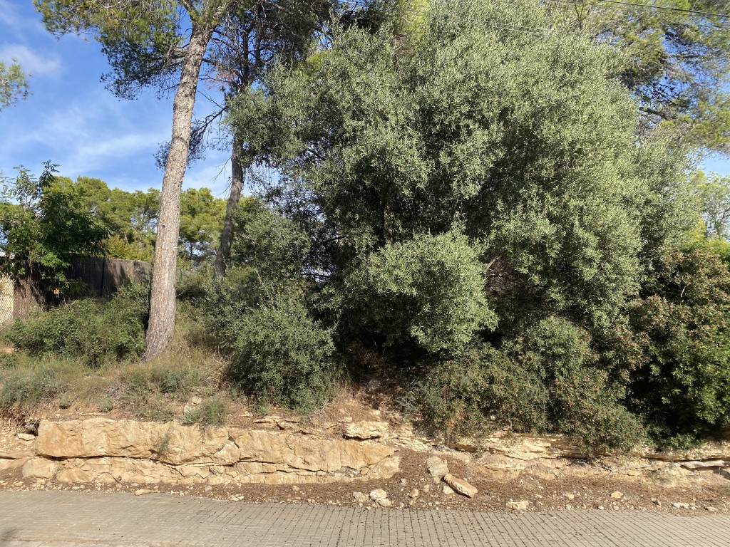 Plot for sale in Mallorca Southwest 2