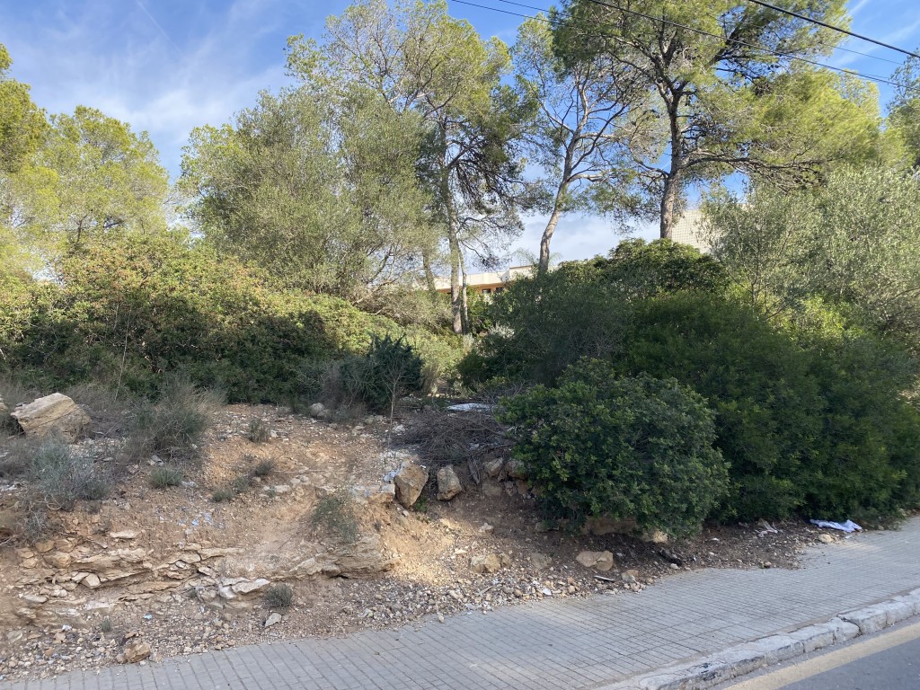 Plot for sale in Mallorca Southwest 3