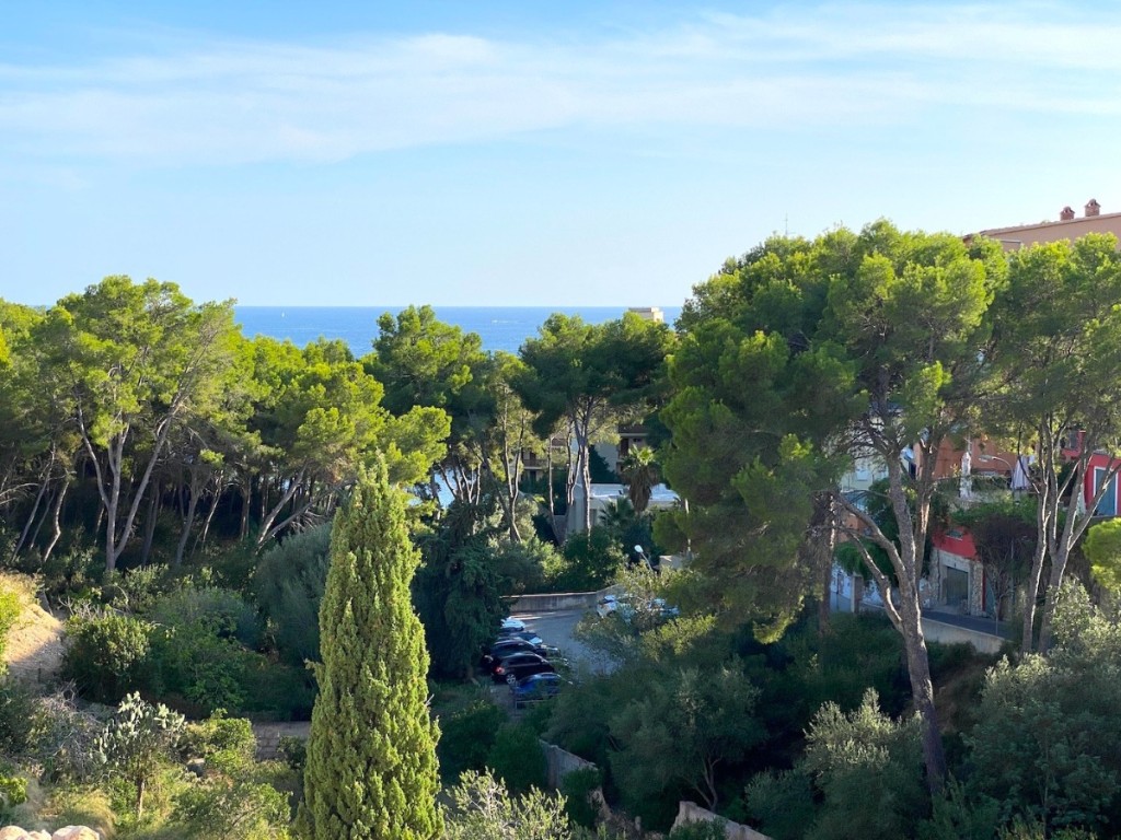 Wohnung zum Verkauf in Mallorca Southwest 9