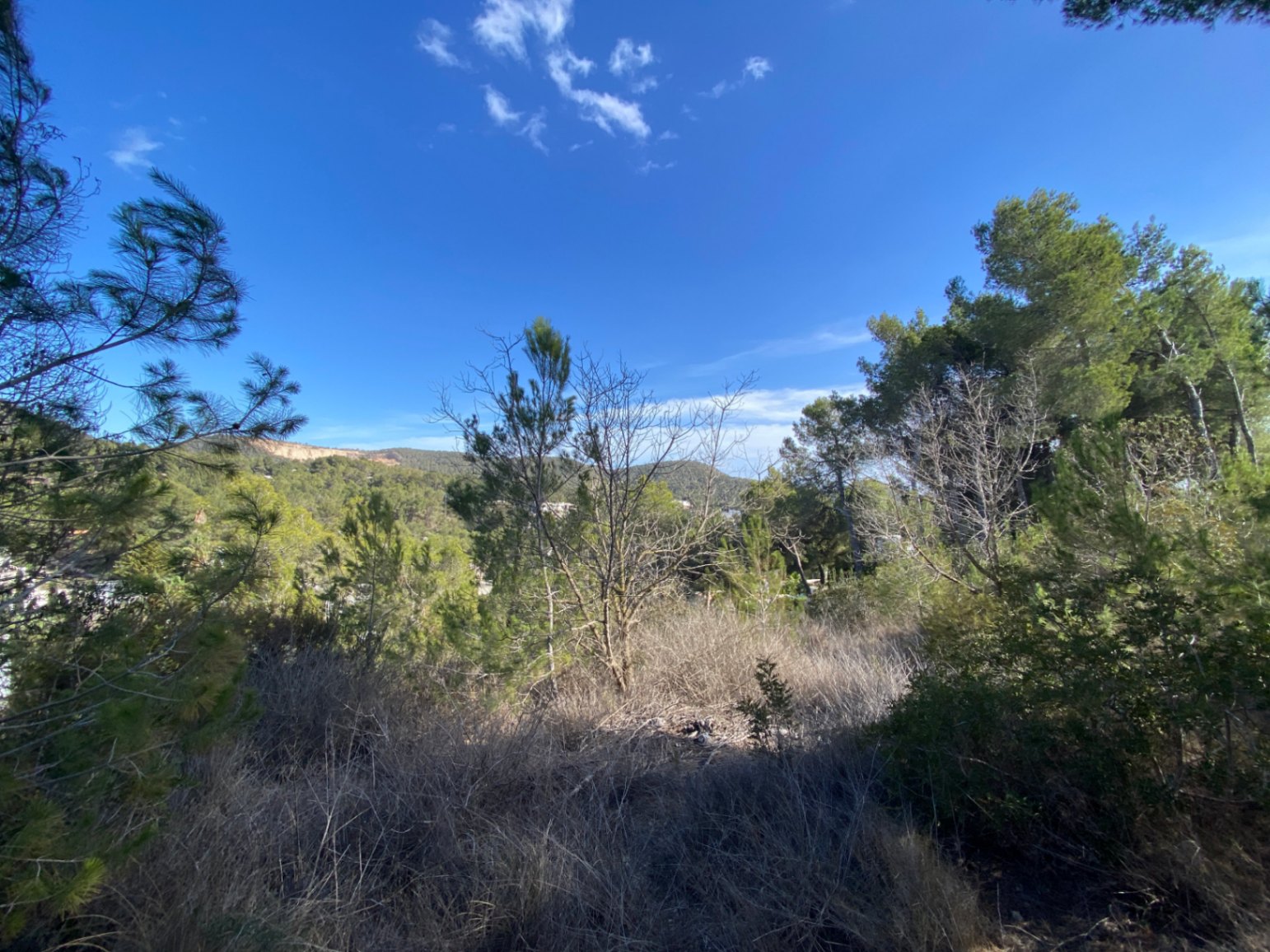 Plot for sale in Ibiza 1