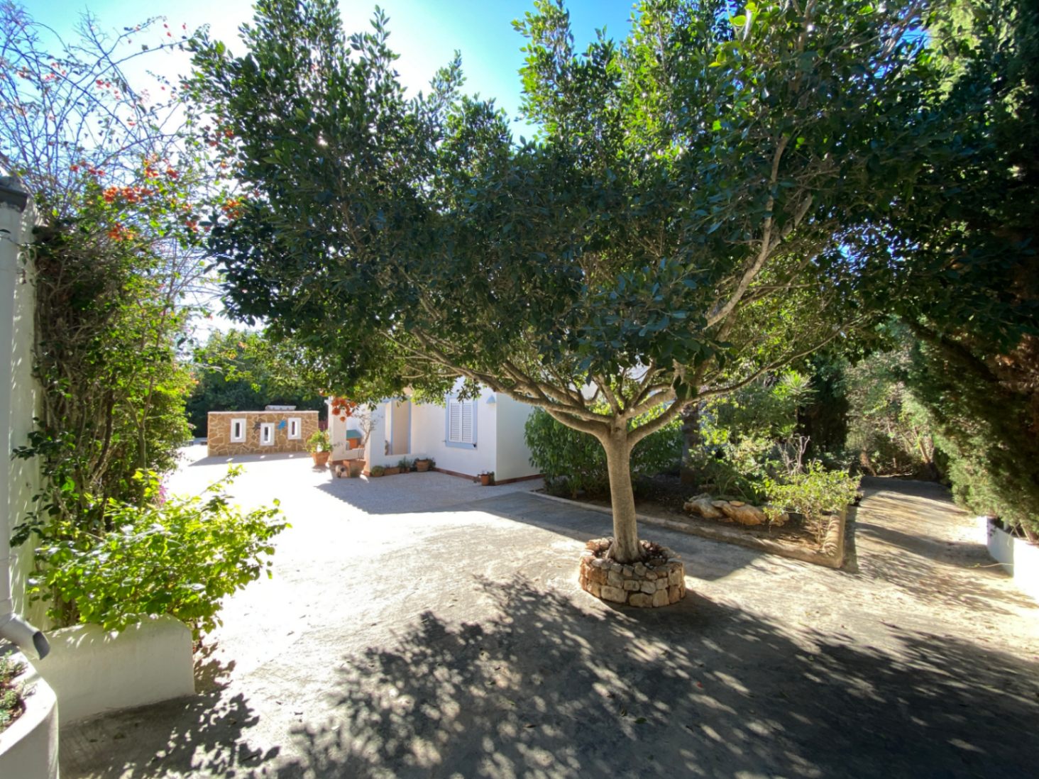 Villa te koop in Ibiza 9